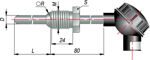 dtp-205.jpg