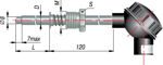dtp-095.jpg