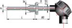 dtp-065.jpg