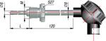 dtp-265.jpg