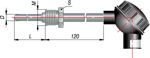 dtp-035.jpg
